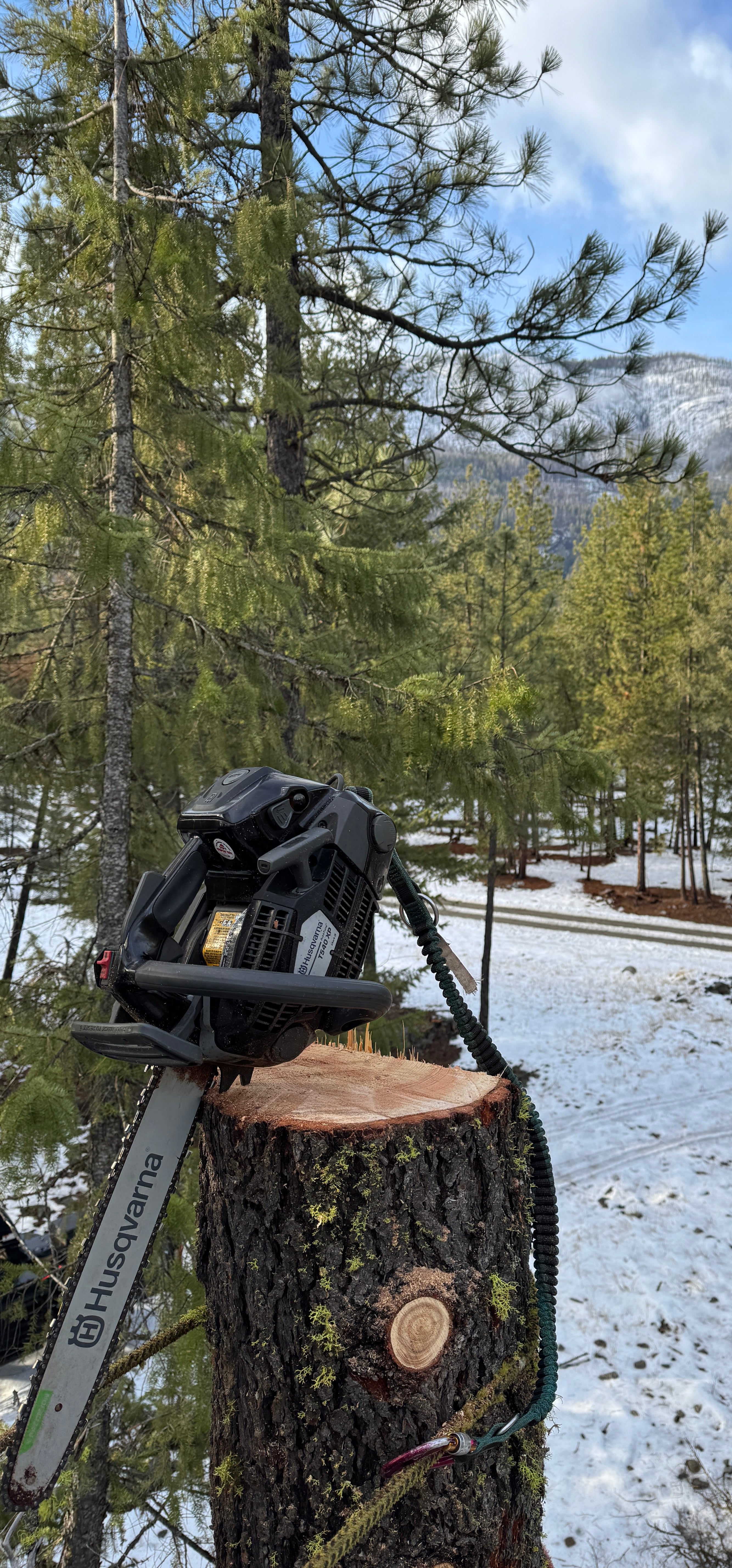 Black Dyed Husqvarna RBS T540 MK3 Chainsaw Ported by Red Beard