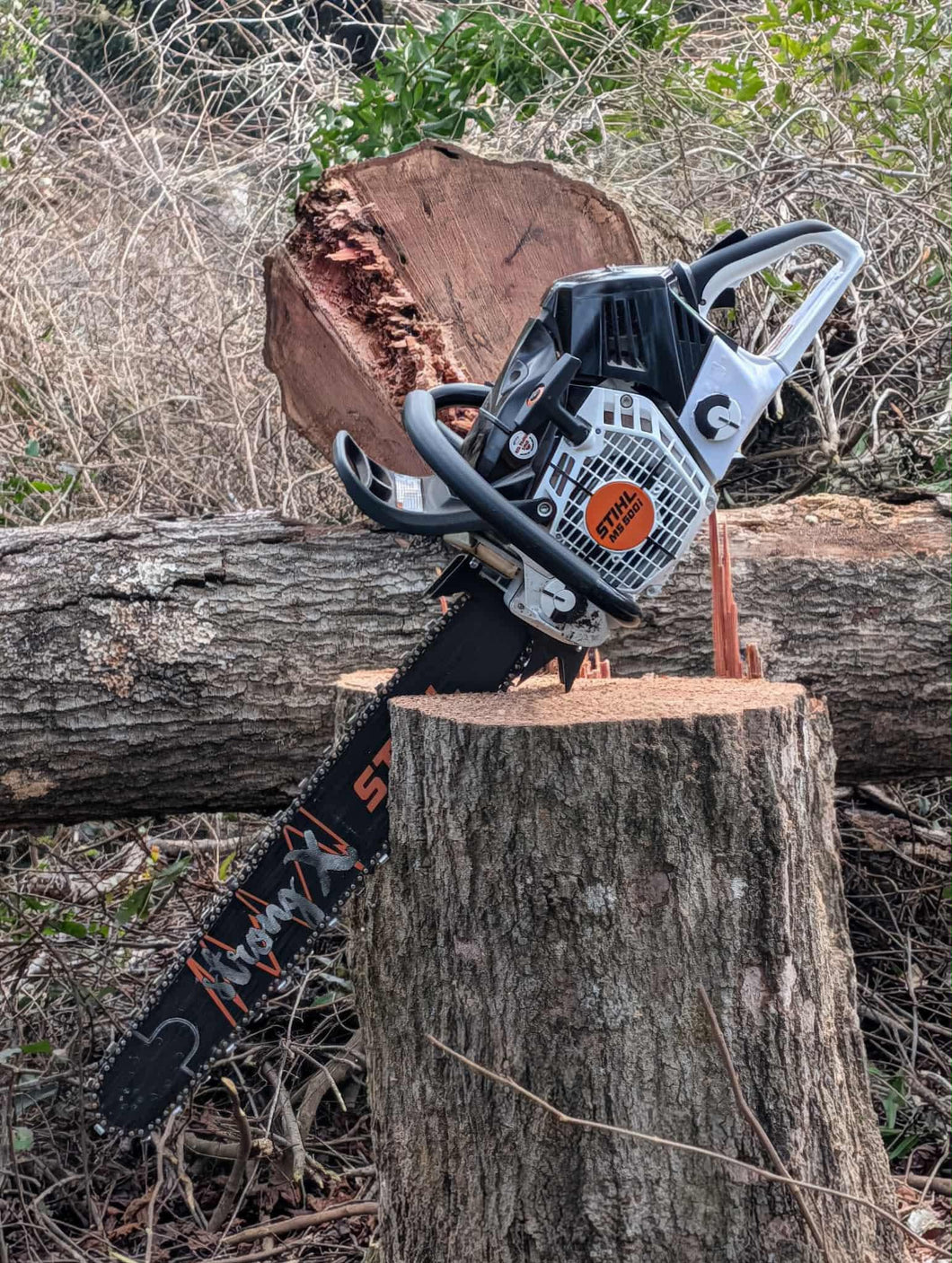 RBS 500i BLACK DYE WORK – Red Beard Saws - Stoeckel Stacks